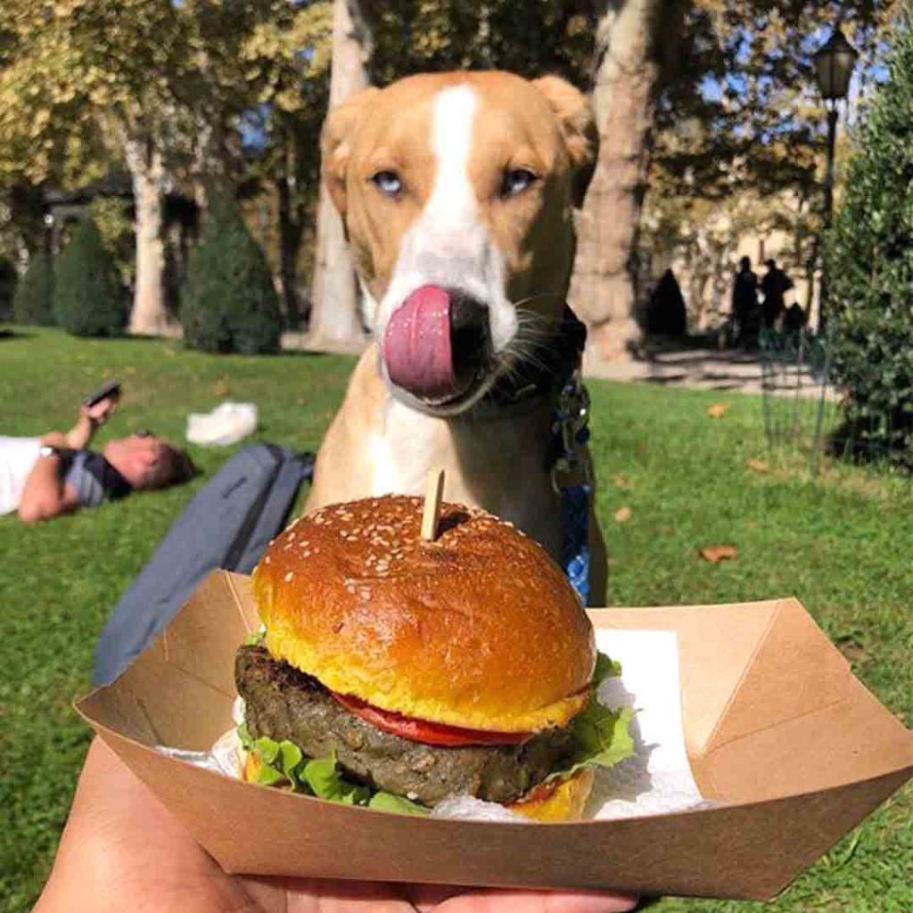 Veganski burger i pas.